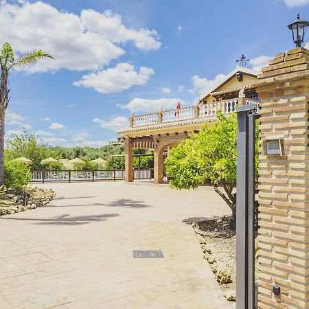 Cubo'S Villa Los Javieles 알하우린엘그란데 외부 사진